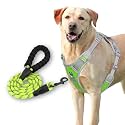 HANK Dog Harness Leash Set - 3M Reflective - 4 Adjustable Buckle - Dog Body Belt for Training - Running (Green, X-Large (Harness + Leash))