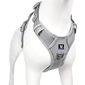 HANK Dog Harness | Pet Body Belt | Adjustable Buckles | Strong Metal Hook | 3M Reflective Strap | Dog Vest (Grey, Small)