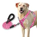 HANK Dog Harness Leash Set - 3M Reflective - 4 Adjustable Buckle - Dog Body Belt for Training - Running (Pink, Large (Harness + Leash))