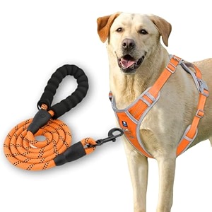 hank dog harness leash set - 3m reflective - 4 adjustable buckle - dog body belt for training - running orange x-large harness  leash