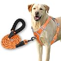 HANK Dog Harness Leash Set - 3M Reflective - 4 Adjustable Buckle - Dog Body Belt for Training - Running (Orange, X-Large (Harness + Leash))