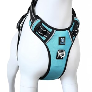 hank dog harness  3m reflective pet belt  strong metal hook  dog body belt  no pull vest harness for walking amp training cyan blue x-large