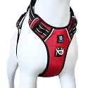 HANK Dog Harness | 3M Reflective Pet Belt | Strong Metal Hook | Dog Body Belt | No Pull Vest Harness for Walking &amp; Training (Red, Small)