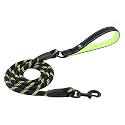 HANK Dog Leash | 3M Reflective Leash for Dogs | Heavy Duty Dog Rope for Small to Large Dogs | Comfortable Padded Handle 5 Feet (Green, Large)