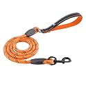 HANK Dog Leash | 3M Reflective Leash for Dogs | Heavy Duty Dog Rope for Small to Large Dogs | Comfortable Padded Handle 5 Feet (Black, Small)