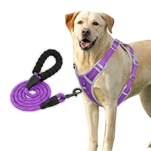 hank dog harness leash set - 3m reflective - 4 adjustable buckle - dog body belt for training - running black medium harness  leash