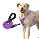 HANK Dog Harness Leash Set - 3M Reflective - 4 Adjustable Buckle - Dog Body Belt for Training - Running (Black, Medium (Harness + Leash))