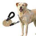 HANK Dog Harness Leash Set - 3M Reflective - 4 Adjustable Buckle - Dog Body Belt for Training - Running (Black, Medium (Harness + Leash))