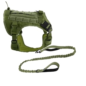 hank tactical dog harness - no pull heavy duty - pet body vest with military standard fabric - 2 front metal buckles - dog belt for training - walking green large harness  leash
