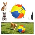 Hap Tim Upgraded Heavy Duty 18" Herding Ball for Dogs Thickened Bladder