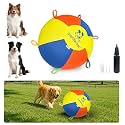 Hap Tim Upgraded Heavy Duty 22" Herding Ball for Dogs Thickened Bladder