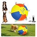 Hap Tim Upgraded Heavy Duty 25" Herding Ball for Dogs Thickened Bladder