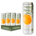 Happy Being Orange Sparkling White Tea, Antioxidant, 12oz 4 Pack