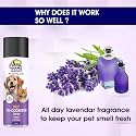 Happy Hippo Pet Urine Odour Eliminator for Dogs and Cats | Pet Deodrant & Smell Remover | Pet Odour Eliminator | Lavender Fragrance | Potty Training Spray for Puppy, Cat and Dog - 200ml