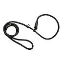 Heavy Duty Nylon Dog Slip Lead Adjustable Choke Training Show Leash Durable Strong Medium Size (Black),50 cm