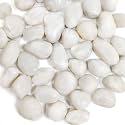 HappyFiller Natural Decorative White Pebbles Polished Rocks Stones for Aquarium Gravel,Fish Turtle Tank,Outdoor Indoor Succulents Plants Top Dressing,Graden Landscaping,2 LB