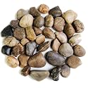 Natural Pebbles Polished Rocks Stones Mixed Color for Aquarium Gravel,18 LB