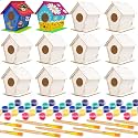 hapray 12 Pack Bird House Kit for Kids, DIY Wooden Birdhouse with Paints
