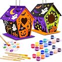 hapray 2 Pack Bird House Kits for Kids, DIY Birdhouse Kit Build and Paint