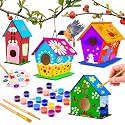 hapray 4 Pack Bird House Craft Kit, DIY Birdhouse for Kids to Build &amp; Paint