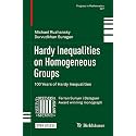 Hardy Inequalities On Homogeneous Groups 100 Years Of Hardy Inequalities (Hb 2019): 327 (Progress in Mathematics)