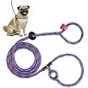 Harness Lead No Pull Dog Harness and Leash Set, Anti Pull Dog Harness, One-Piece Cushioned Rope Safely Prevents Escaping and Pulling (Small/Medium, Reef)