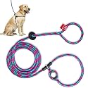 Harness Lead No Pull Dog Harness and Leash Set, Anti Pull Dog Harness, One-Piece Cushioned Rope Safely Prevents Escaping and Pulling (Medium/Large, Reef)