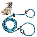 Harness Lead No Pull Dog Harness and Leash Set, Anti Pull Dog Harness, One-Piece Cushioned Rope Safely Prevents Escaping and Pulling (Small/Medium, Purple/Turquoise)