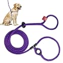 Harness Lead No Pull Dog Harness and Leash Set, Anti Pull Dog Harness, One-Piece Cushioned Rope Safely Prevents Escaping and Pulling (Medium/Large, Purple)