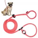 Harness Lead No Pull Dog Harness and Leash Set, Anti Pull Dog Harness for All Breeds and Sizes, One-Piece Cushioned Rope Design Safely Prevents Escaping and Pulling (Small/Medium, Pink)