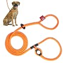 Harness Lead No Pull Dog Harness and Leash Set, Anti Pull Dog Harness, One-Piece Cushioned Rope Safely Prevents Escaping and Pulling (Extra Large,Orange/Reflective)