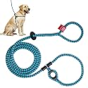 Harness Lead No Pull Dog Harness and Leash Set, Anti Pull Dog Harness, One-Piece Cushioned Rope Safely Prevents Escaping and Pulling (Medium/Large, Purple/Turquoise)