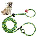 Harness Lead No Pull Dog Harness and Leash Set, Anti Pull Dog Harness, One-Piece Cushioned Rope Safely Prevents Escaping and Pulling (Small/Medium, Rainforest)