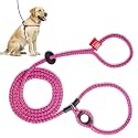 Harness Lead No Pull Dog Harness and Leash Set, Anti Pull Dog Harness, One-Piece Cushioned Rope Safely Prevents Escaping and Pulling (Medium/Large, Pink/Purple)