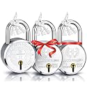 Harrison Padlocks Buy 1 Get 2 Free/ 1 Square Padlock 60mm 0673 with 2 Round Padlock 50mm 0656/padlock, Padlocks, Locks for Home, Locks for Main Door H0090