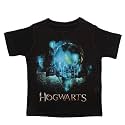 Harry Potter Round Neck T-Shirt for Boys