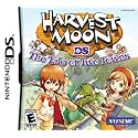 Harvest Moon: Tale of Two Towns - Nintendo DS