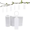 HASTHIP 100Pcs Plant Tags, Writable PVC Waterproof Hanging Labels, 2.4x11cm