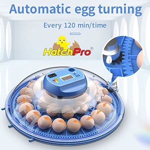hatchpro 8 eggs fully automatic egg incubator for egg hatching bluemulti eggs capacity