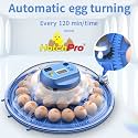 Hatchpro 8 Eggs Fully Automatic Egg Incubator for Egg Hatching (Blue,Multi Eggs Capacity)