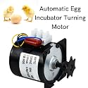 Hatchpro Automatic Egg Incubator for Egg Hatching (14 Watt Motor)