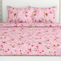 haus kinder Cotton Double Fitted Elastic