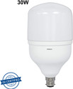 HAVELLS 30 W Basic Standard B22 LED