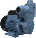 HAVELLS DARIYA05 Centrifugal Water Pump (0.5 hp)