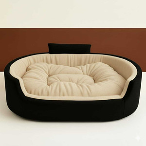 HAVEN STYLISH Luxury Coller Sofas Beds