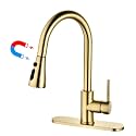 Havin Gold Kitchen Faucet,Magnetic Sprayer,1 or 3 Hole Sink