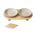 Havniva Elevated Cat Bowls, Raised Cat Bowl Ceramic Cat Dishes with Stand