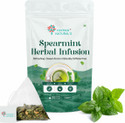 HAYMAN NATURALS Spearmint Herbal Infusion PCOS Relief