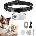 HD 1080P Cat POV Camera Collar with Video Record, Mini Small Sports Video Cameras, Body Cam Outdoor/Inoor No WiFi, Unique Pet Supplies Gift for pet Owners, Dog Moms, cat dads, Ideal Gift