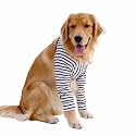 HDKUW Dog Elbow Protector for Calluses, Dog Joint Recovery Sleeve for Prevent Licking Wound, Elbow Sleeves with Mesh Pad for Medium Large Dogs (L, Stripe)